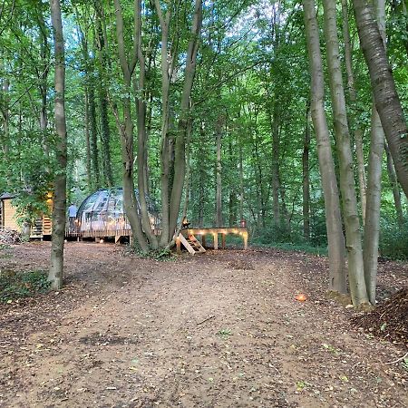 Le Dome De Namur - Une Nuit Insolite Dans Les Bois Exterior foto