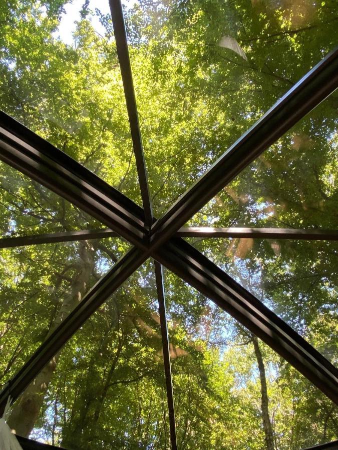 Le Dome De Namur - Une Nuit Insolite Dans Les Bois Exterior foto
